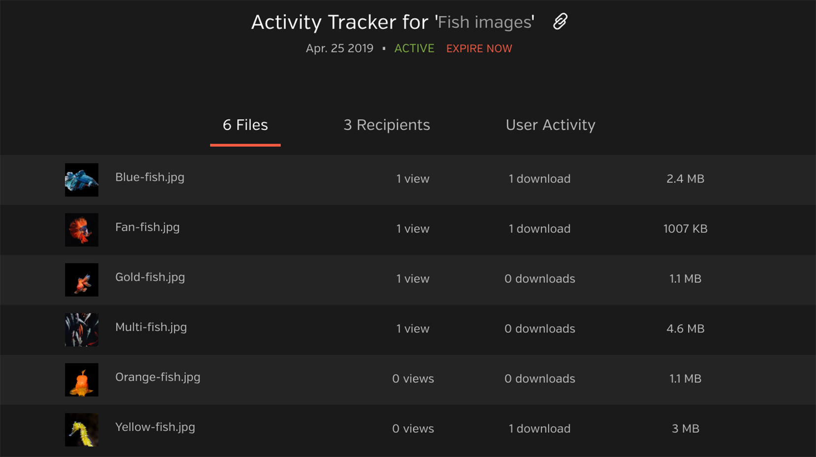 File share tracking
